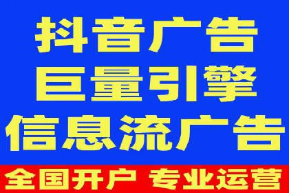 SEM广告投放策略：成功案例解析